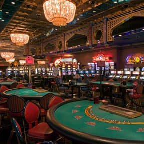 teddy casino